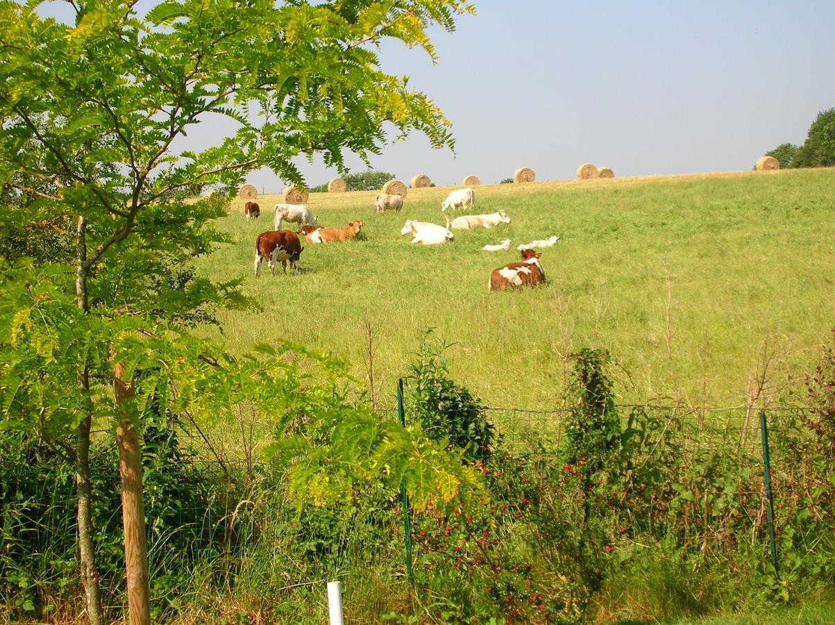 Vihiers La Gaucherie Aux Dames מראה חיצוני תמונה